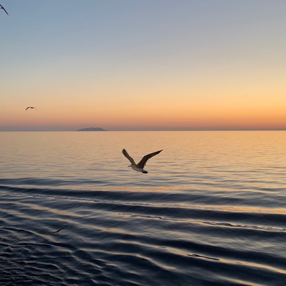 Meet your Posher, Haley - Picture 1 of 1